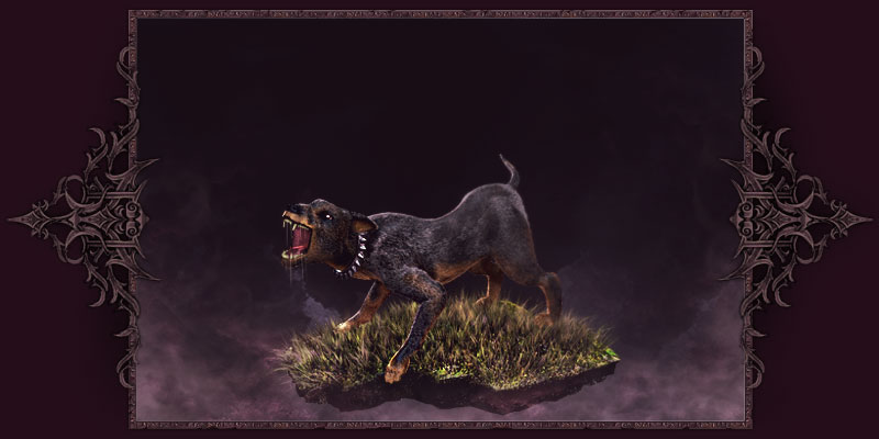 Áåøàíàÿ ñîáàêà